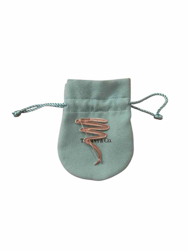Tiffany & Co. Sterling PIN