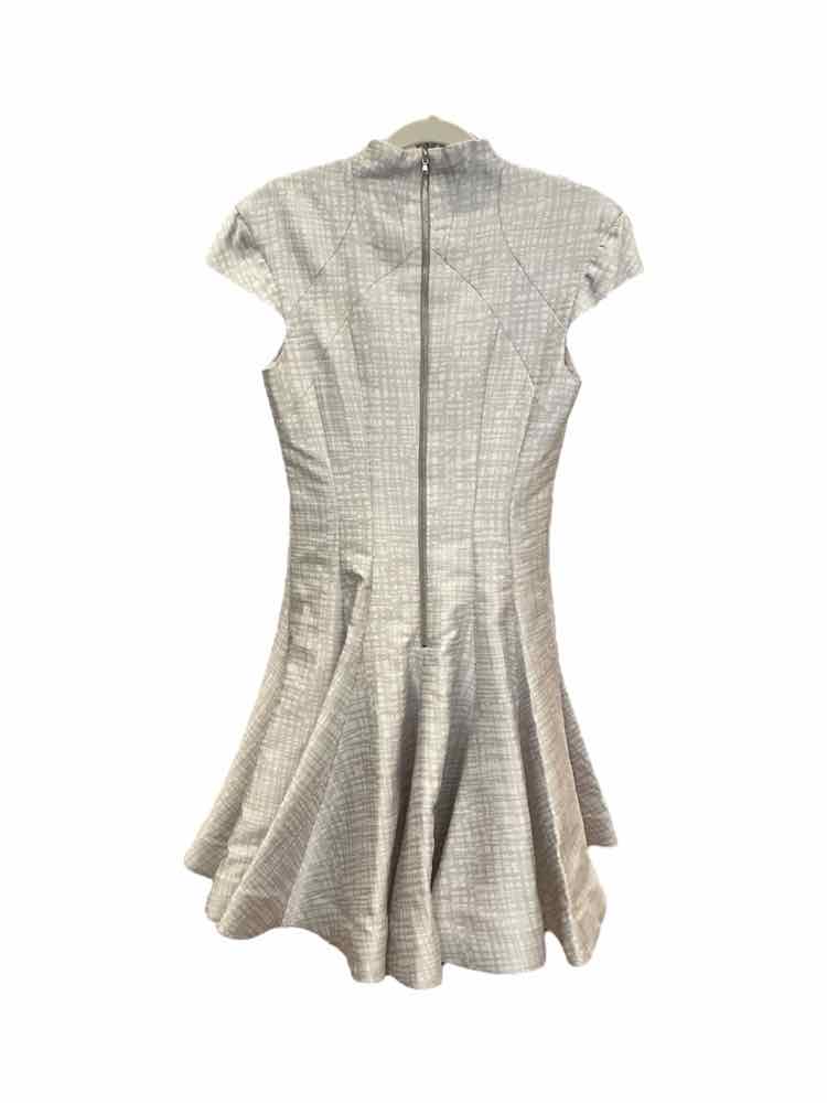 Rubinsinger Size 2 Grey Dress