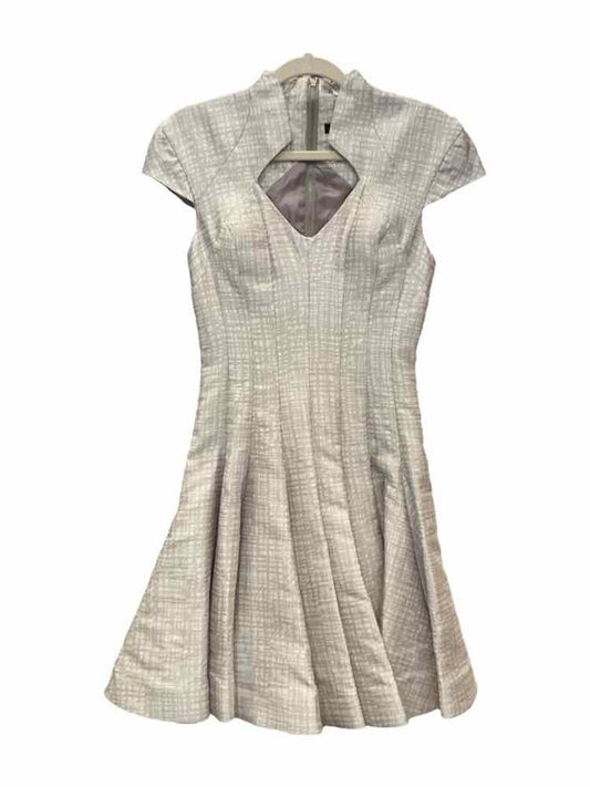 Rubinsinger Size 2 Grey Dress