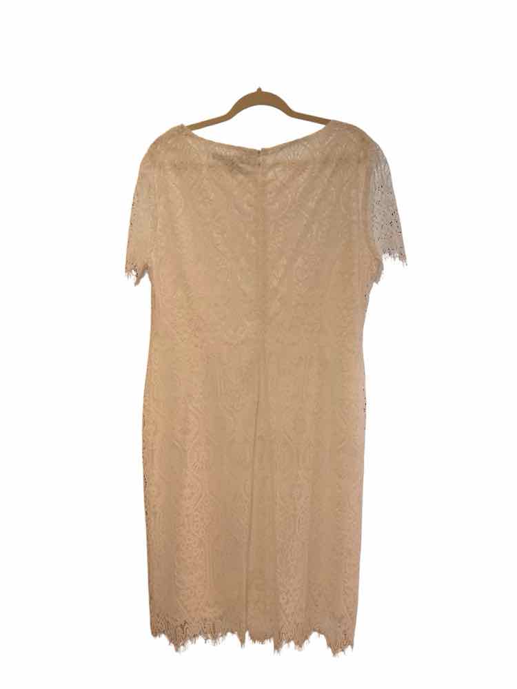 PRESTON&YORK Size 16 White Dress