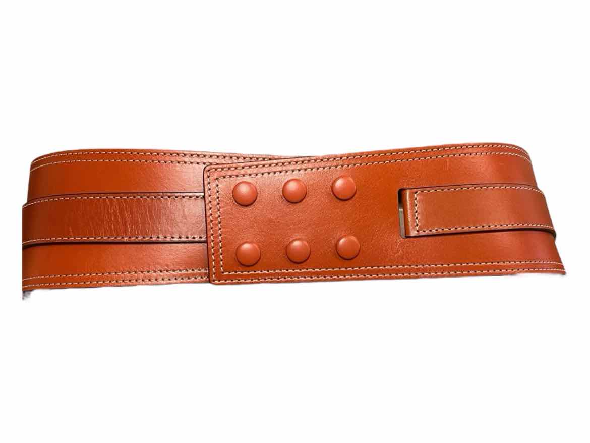 Isabel Marant Size 95 BROWN Belt