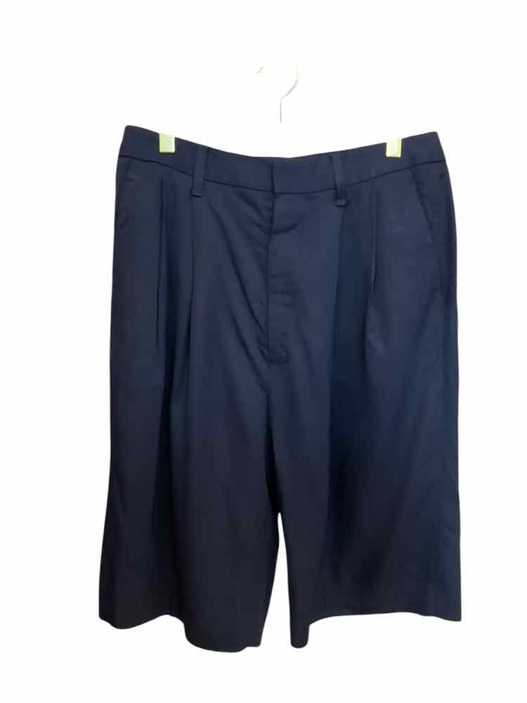 RAG & BONE Size 2 Navy Shorts
