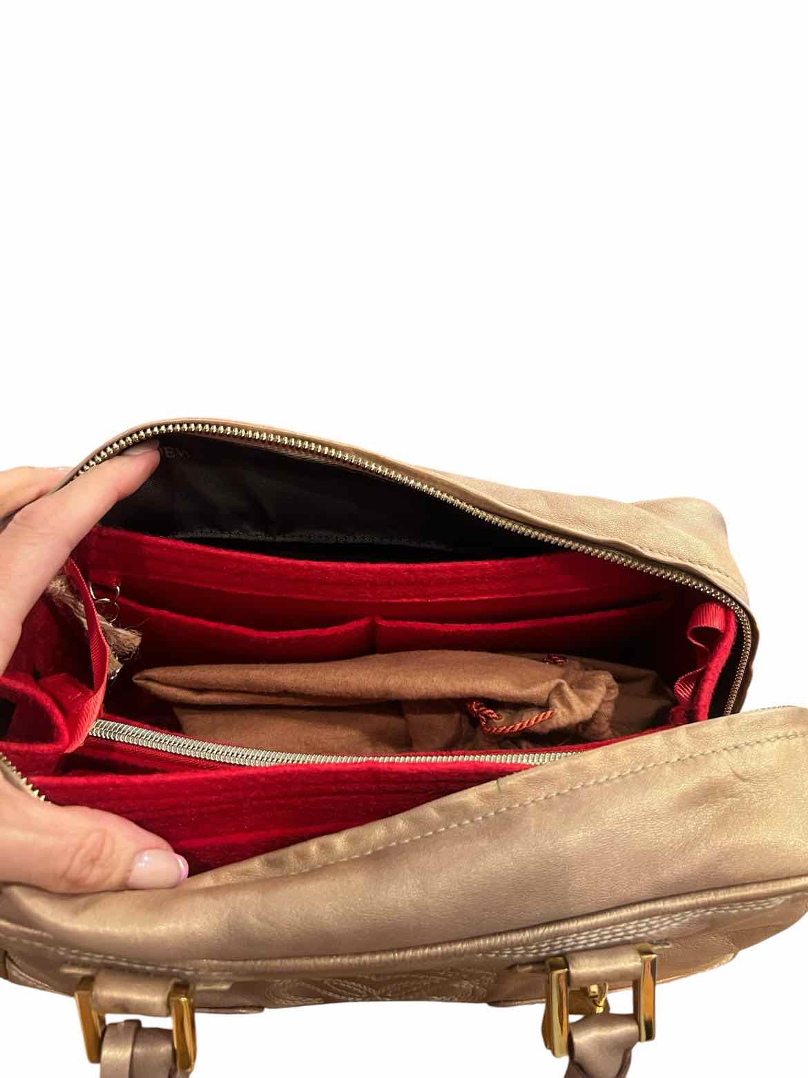 Loewe Size 28 champagne Purse