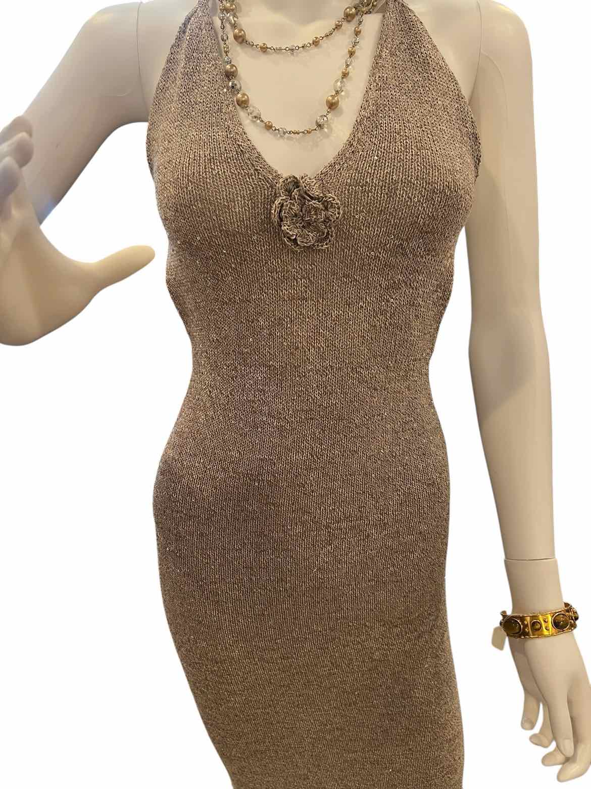 Asta Resort Size XS Hazelnet Dress