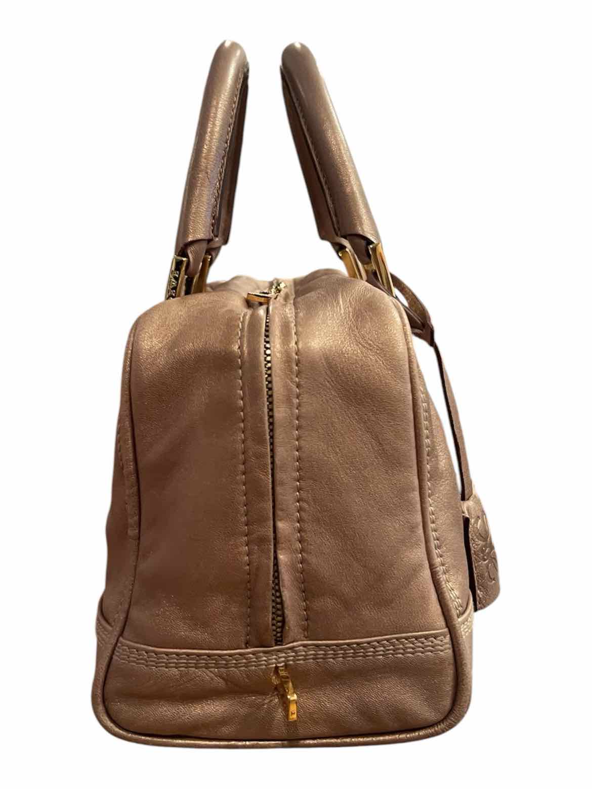 Loewe Size 28 champagne Purse